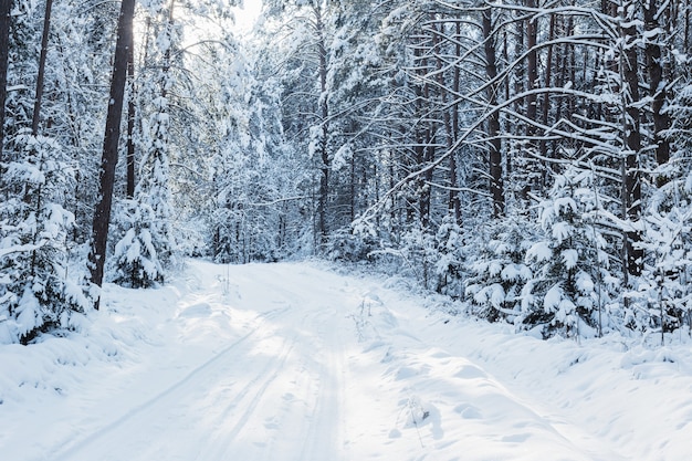 Strada invernale in legno con neve e luce solare