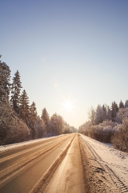 Strada invernale innevata attraverso campi innevati e foreste