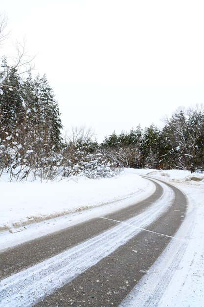 Strada invernale innevata in una foresta di montagna