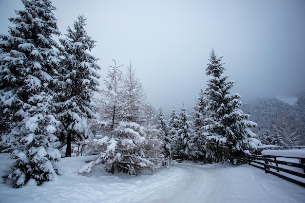 Strada invernale nei campi durante la tempesta