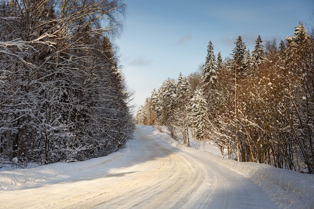 Strada invernale nel paesaggio forestale gelido innevato