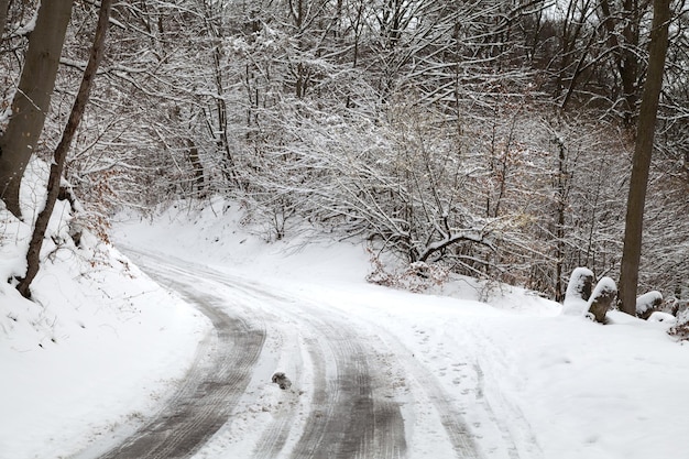 Strada invernale tortuosa