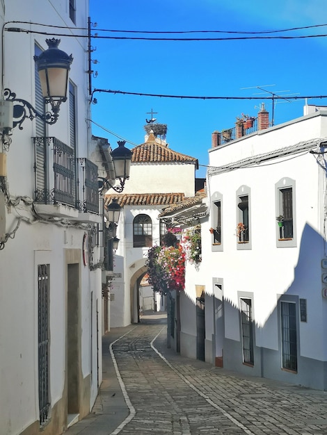 Strada Jerez a Zafra, provincia di Badajoz