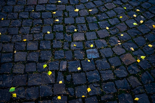 Strada lastricata ricoperta di foglie autunnali nel parco