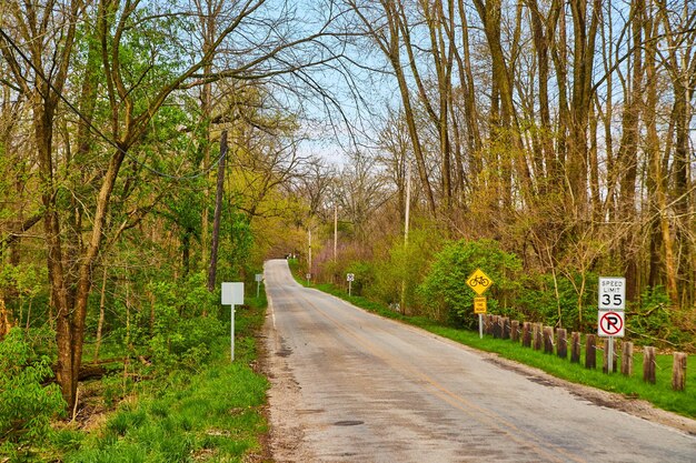 Strada laterale del Midwest in tarda primavera con foglie in erba