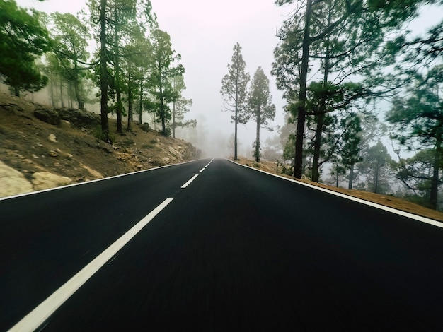 Strada lunga in montagna con foresta di pini e nuvole di nebbia nella parte anteriore e cielo grigio chiaro - punto di vista del suolo con asfalto nero e linee bianche - concetto di guida e di viaggio