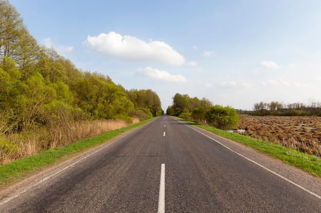 strada lungo gli alberi