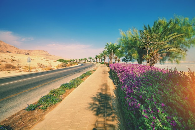 Strada lungo il Mar Morto fino alla città di Ein Bokek, Israele