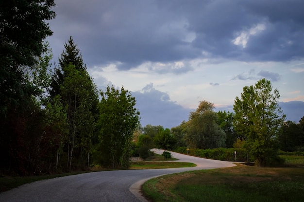 strada nel bosco