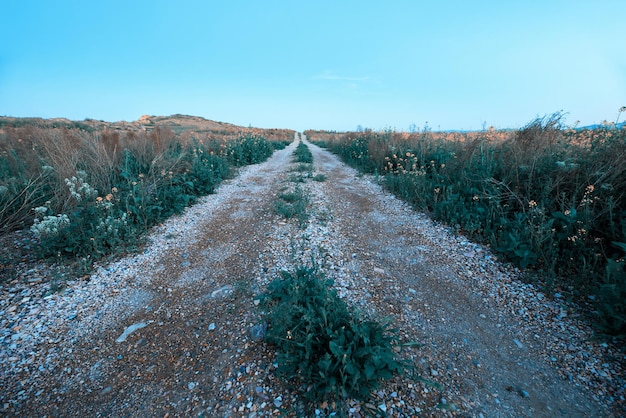 strada nel campo