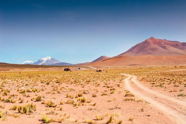 Strada nel deserto sull'altopiano Altiplano, Bolivia