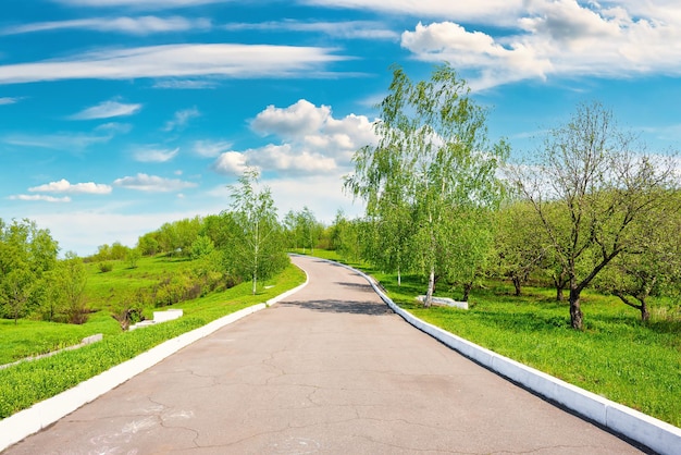 Strada nel parco