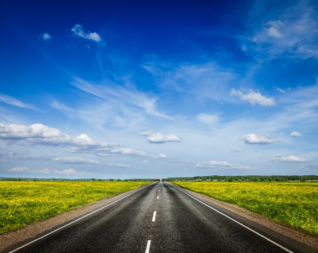 Strada nel prato di fioritura di primavera