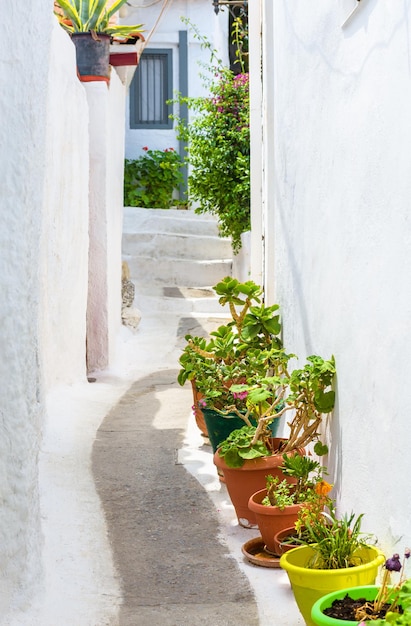 Strada nel quartiere Plaka Atene Grecia