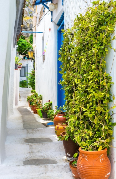 Strada nel quartiere Plaka Atene Grecia