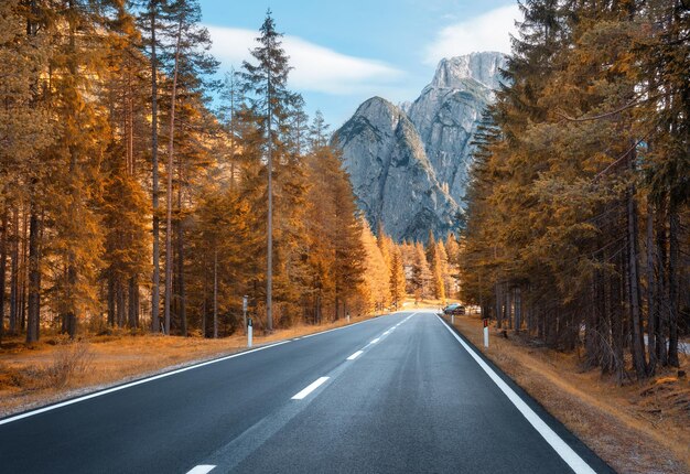 Strada nella foresta autunnale al tramonto in Italia Bellissimi alberi di carreggiata di montagna con fogliame arancione e luce solare Paesaggio con strada asfaltata vuota attraverso boschi cielo blu rocce alte in autunno Viaggio