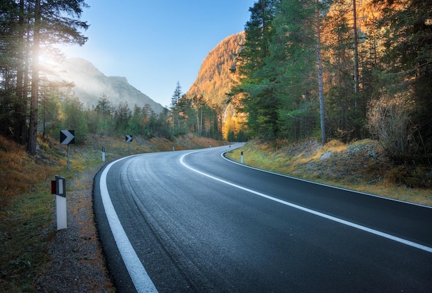 Strada nella foresta autunnale al tramonto nelle Dolomiti Italia