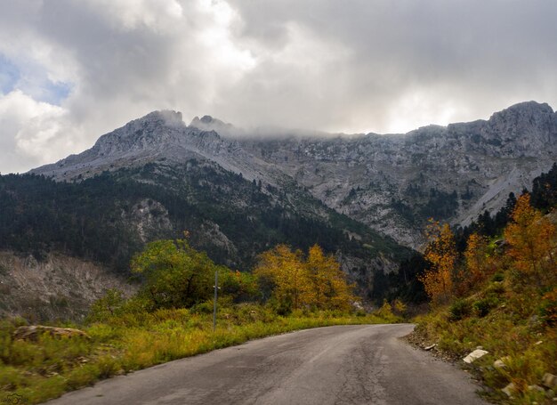 Strada nella foresta autunnale con alberi con fogliame giallo e nuvole sull'isola di Evia Grecia