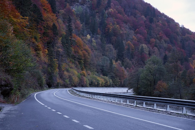 Strada nella foresta d'autunno al tramonto nei monti Carpati Ucraina bellissima strada di montagna con