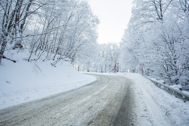 Strada nella foresta di Sabaduri con neve coperta. Orario invernale. Paesaggio