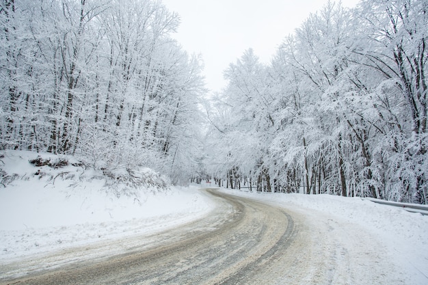 Strada nella foresta di Sabaduri con neve coperta. Orario invernale. Paesaggio