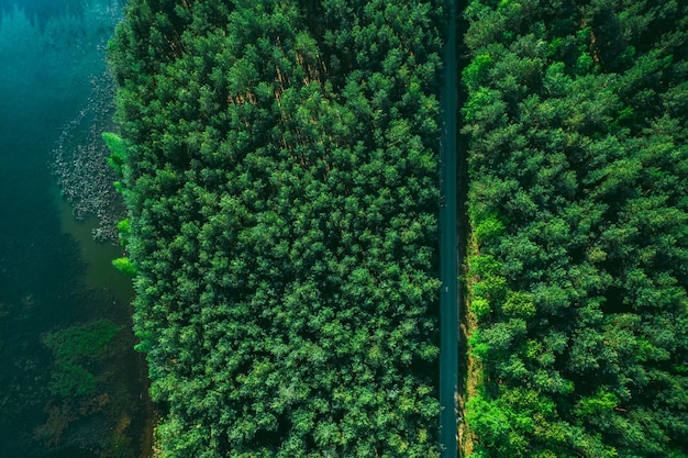 Strada nella lussureggiante foresta verde stagione primaverile Drone View