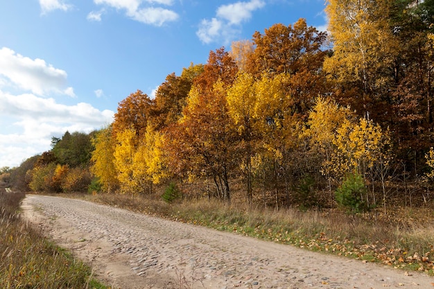 Strada nella stagione autunnale