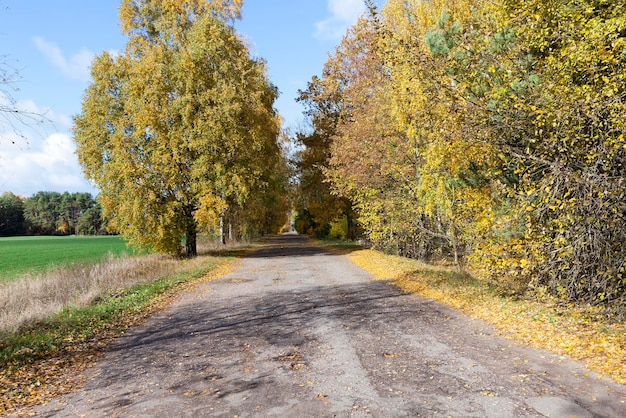 Strada nella stagione autunnale