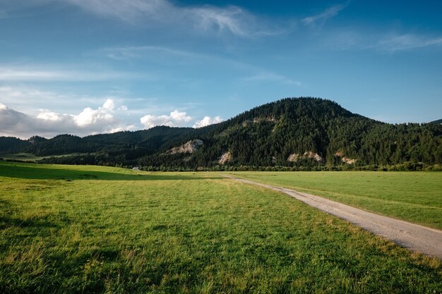 strada nella valle di montagna al mattino di sole in Polonia.