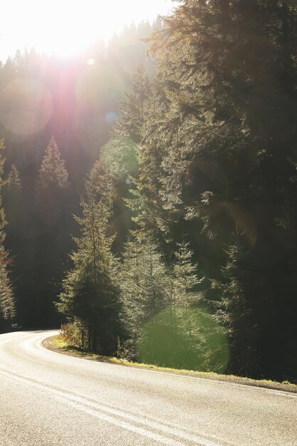 Strada nelle montagne dei Carpazi ucraini in una giornata di sole