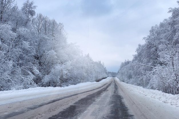 Strada paesaggistica nella foresta invernale con natura selvaggia innevata