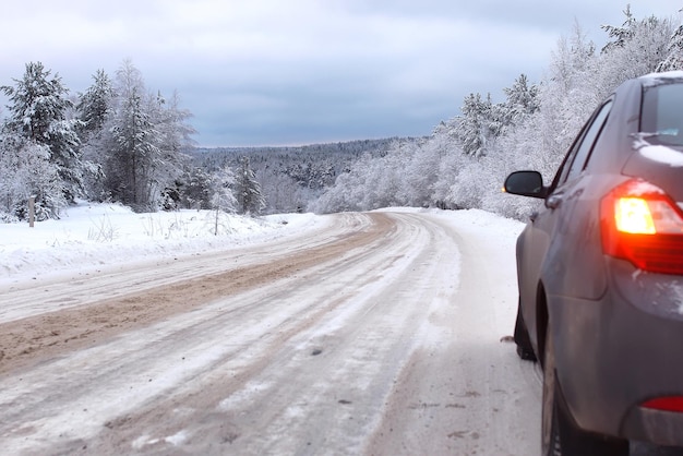 Strada paesaggistica nella foresta invernale con natura selvaggia innevata