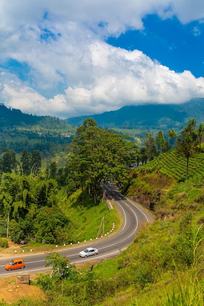 Strada panoramica attraverso verdi colline e piantagioni di tè. Paesaggio naturale dello Sri Lanka.