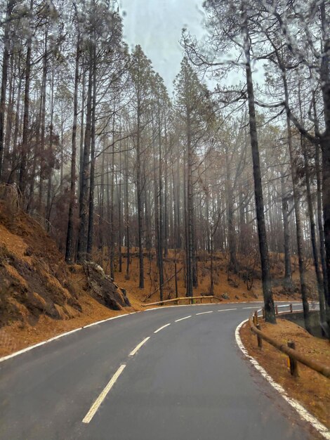 Strada panoramica con pioggia e cattivo tempo Concept di viaggio con lunga strada dritta di asfalto nella natura con alberi e boschi foresta intorno Stile di vita di viaggio Destinazione panoramica Pioggia e nuvole