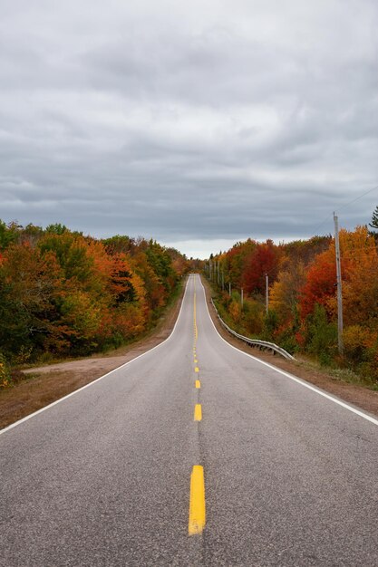 Strada panoramica durante una giornata nuvolosa nella stagione autunnale