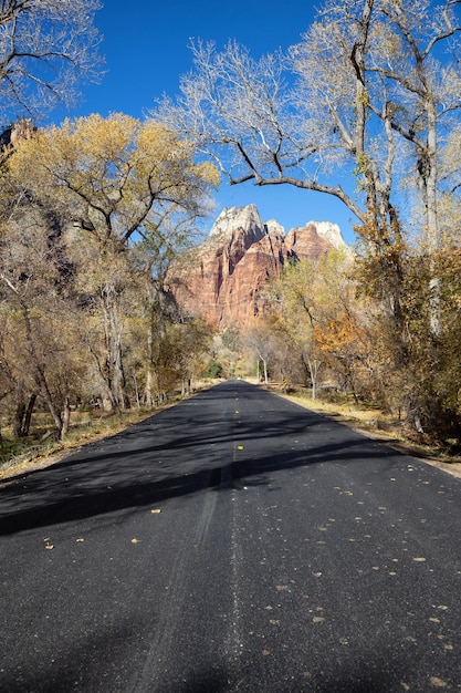 Strada panoramica nel Parco nazionale di Zion dei canyon Utah