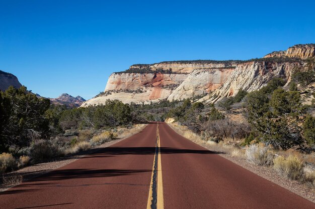 Strada panoramica nel Parco nazionale di Zion dei canyon Utah