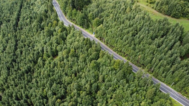 Strada panoramica nella foresta, vista aerea.