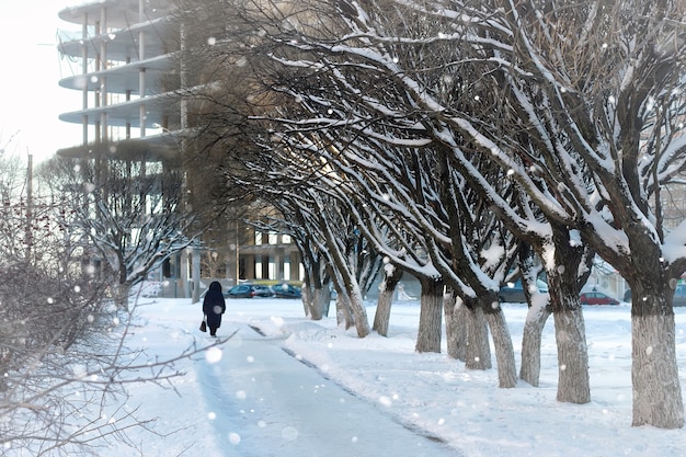 Strada pedonale bosco invernale