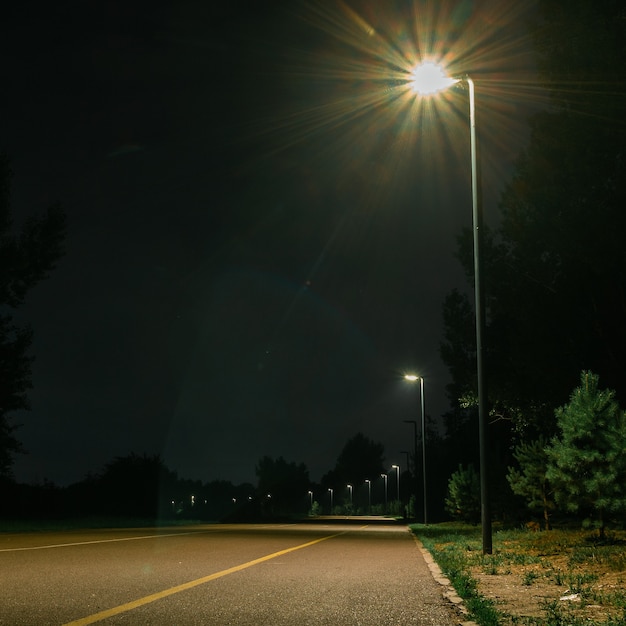 Strada pedonale e ciclabile nel parco illuminata da una lanterna di notte