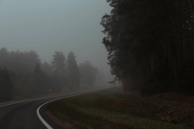 Strada per auto nella nebbia Tempo nebbioso Autunno