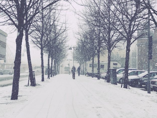 Strada piena di neve in giornata invernale