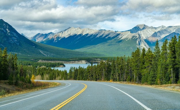 Strada principale nella foresta, Alberta Highway 11 David Thompson Hwy