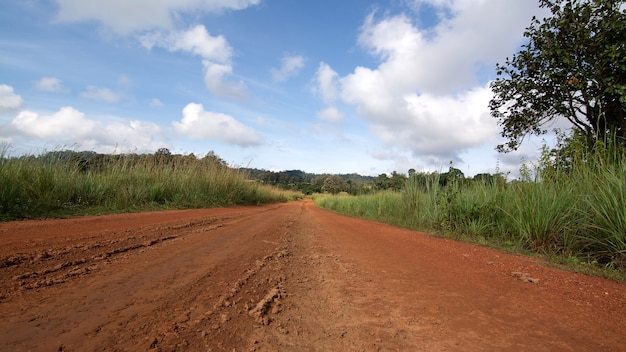 Strada rurale attraverso campi verdi e alberi in Thailandia