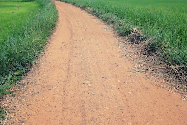 Strada rurale con erba verde.