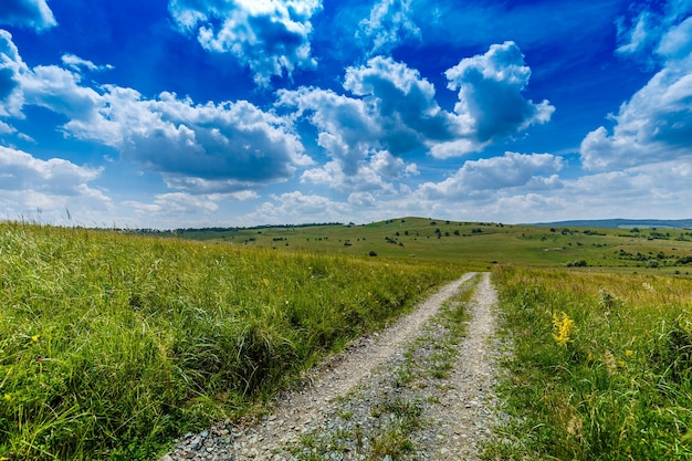 Strada rurale e campo verde