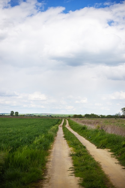 Strada rurale in giornata di sole.