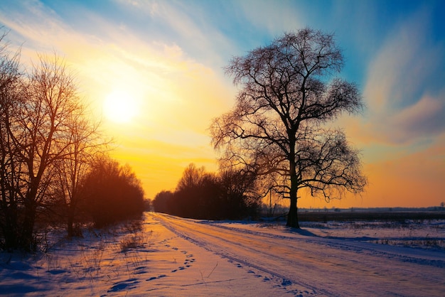 Strada rurale innevata al tramonto