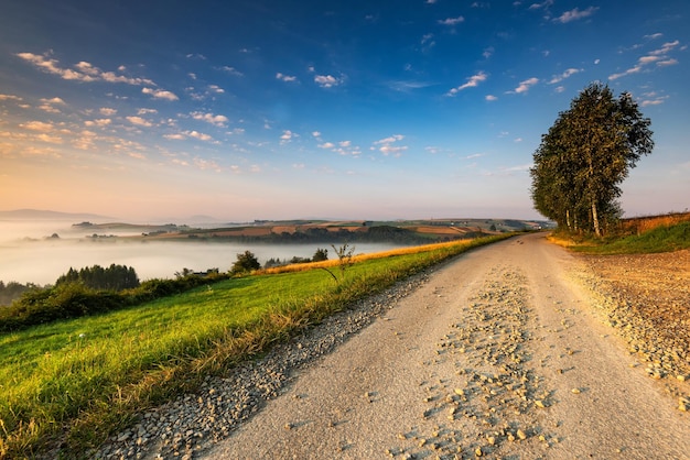 Strada rurale nella campagna polacca Dolci colline in For e Beautiful Sky all'alba