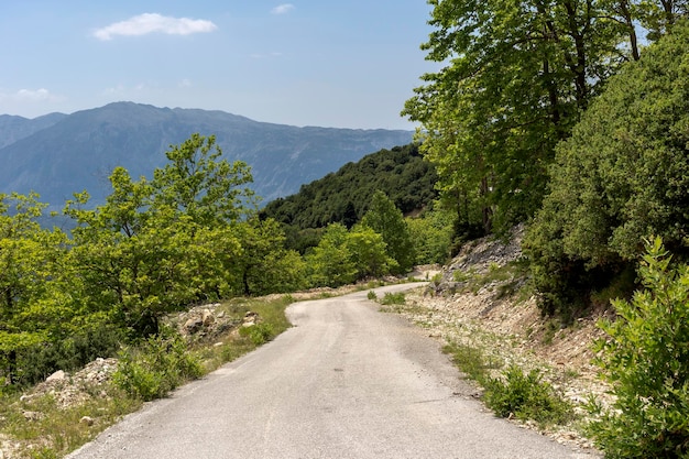 Strada rurale nella regione delle montagne Tzoumerka Epiro Grecia